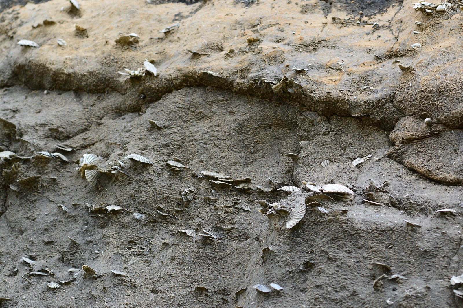The Unending Mystery of Deep Time (image credits: wikimedia)
