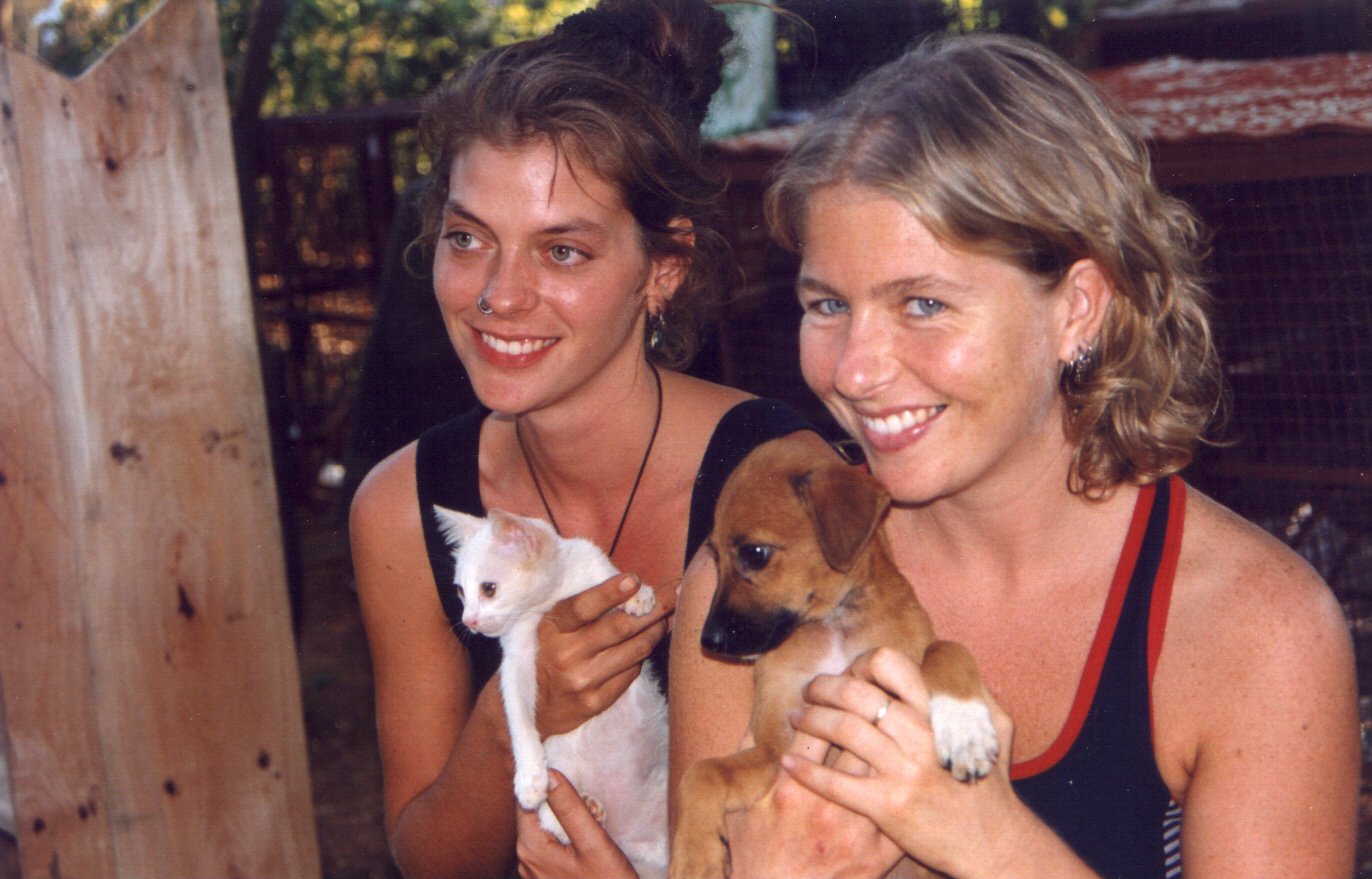 Refuges During Environmental Catastrophes (image credits: wikimedia)