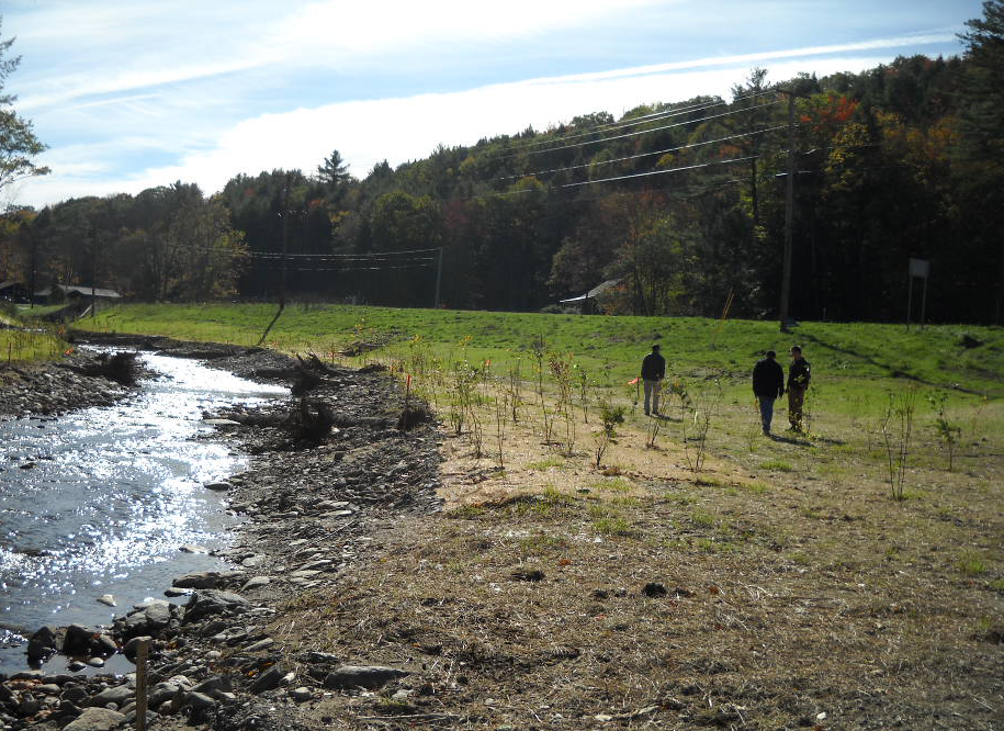 Supporting Habitat Restoration (image credits: wikimedia)
