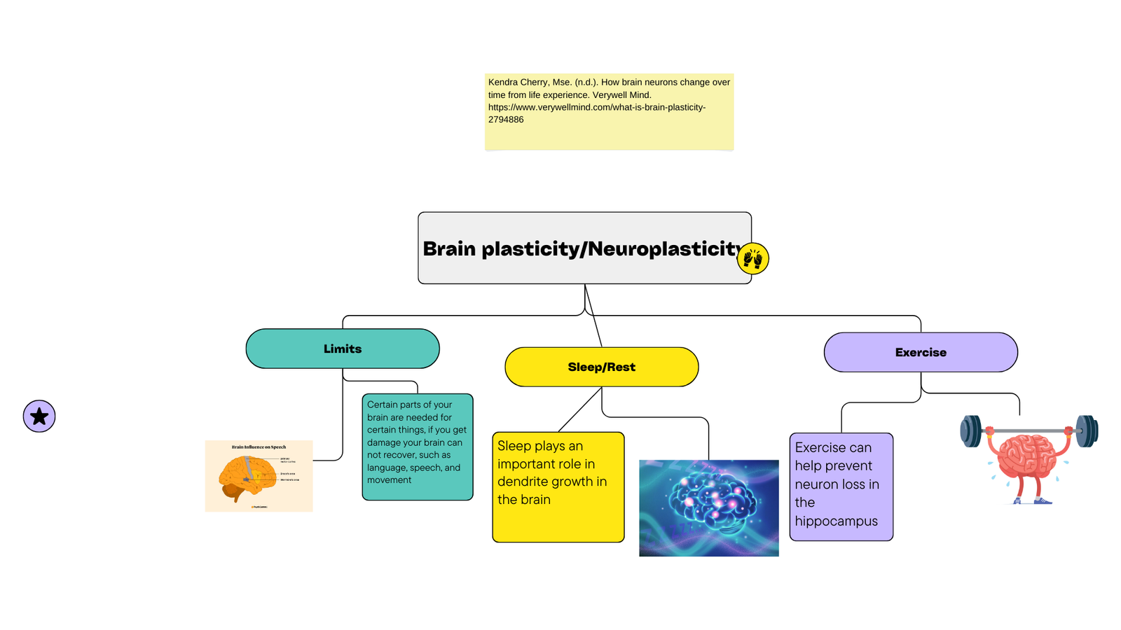 The Future of Brain Plasticity Research (image credits: wikimedia)