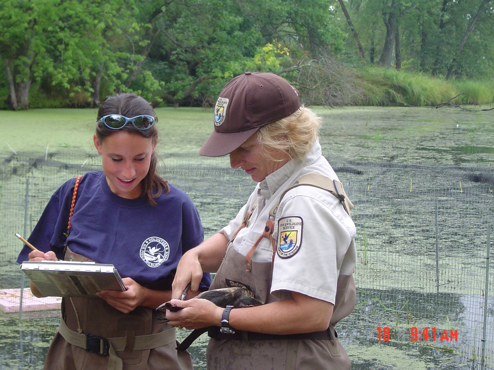 Public Engagement: How You Can Help (image credits: wikimedia)