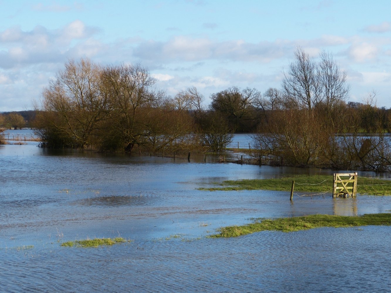 Environmental Transformations: A New Ecosystem Emerges (image credits: wikimedia)