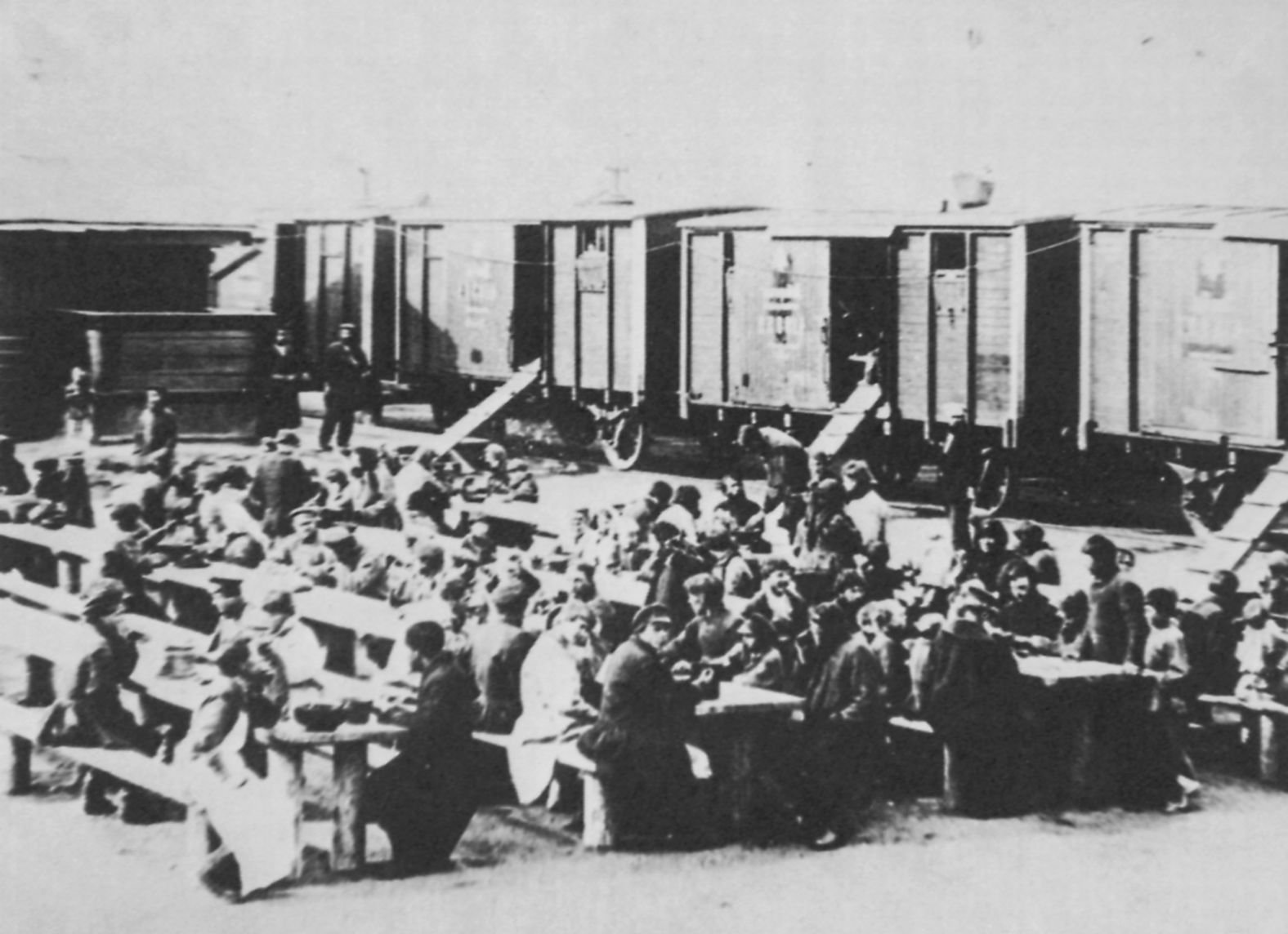 The Arrival of Settlers and the Shifting Balance (image credits: wikimedia)