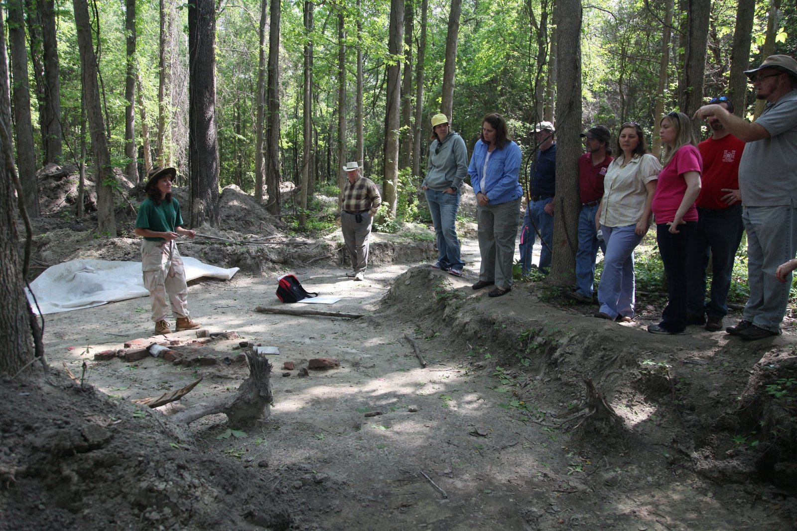 The Human Impact: Development Versus Preservation (image credits: wikimedia)