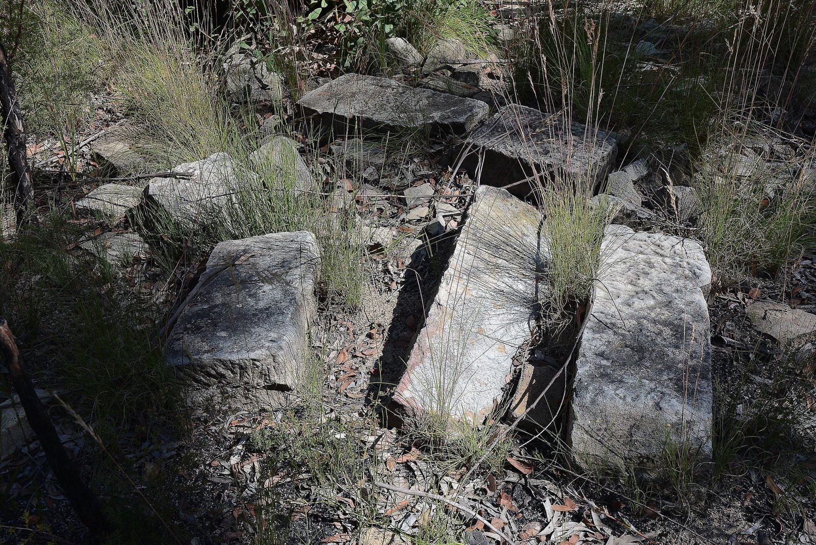 What Lies Ahead: Can We Save Florida’s Buried History? (image credits: wikimedia)