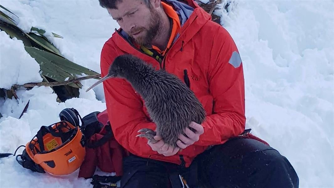 Challenges Facing Conservationists (image credits: wikimedia)