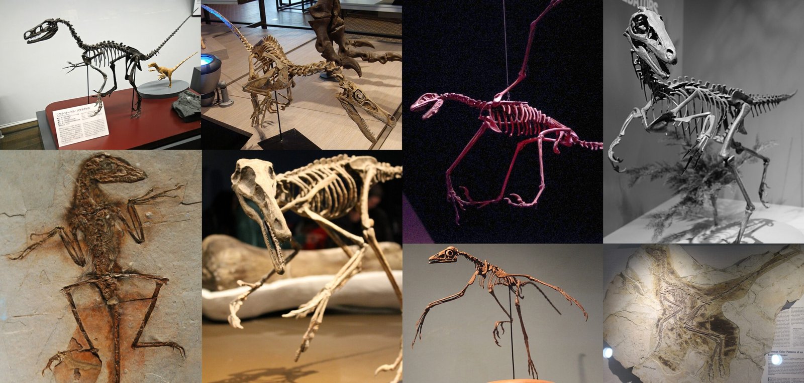 Why This Connection Matters (image credits: wikimedia)