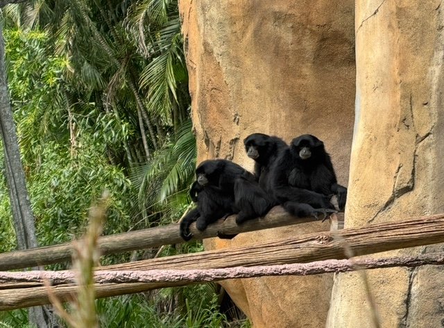 Summary (image credits: wikimedia)