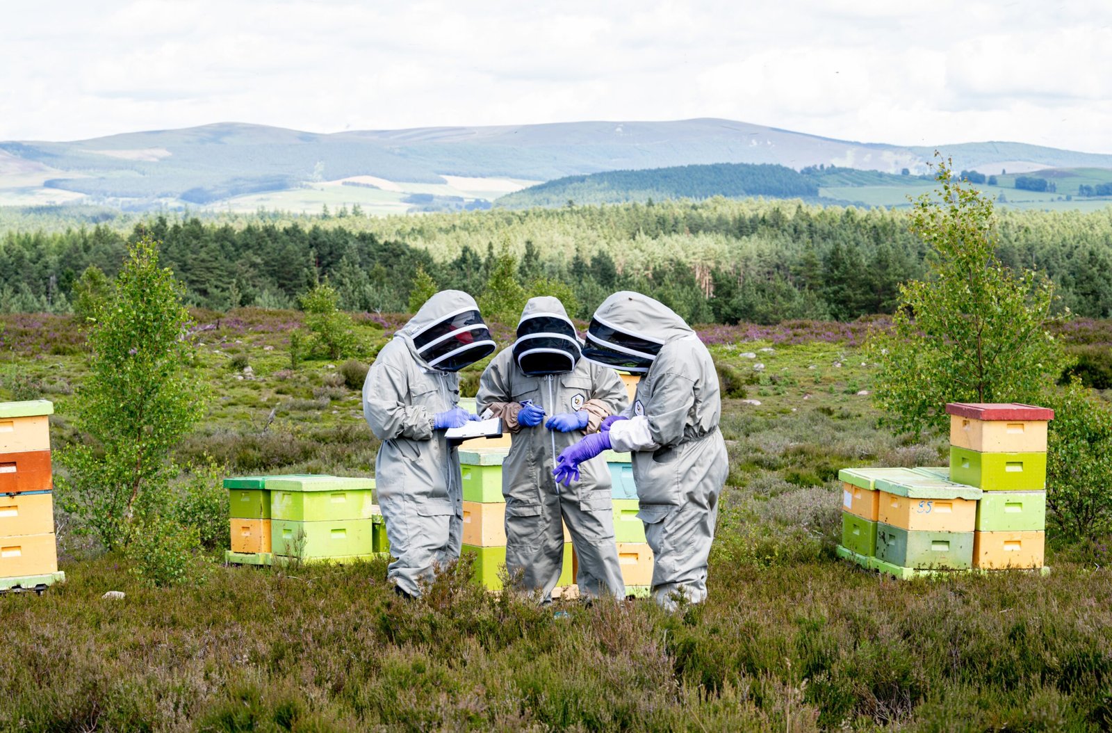 Climate Change: The Shifting Seasons Bees Can’t Keep Up With (image credits: wikimedia)