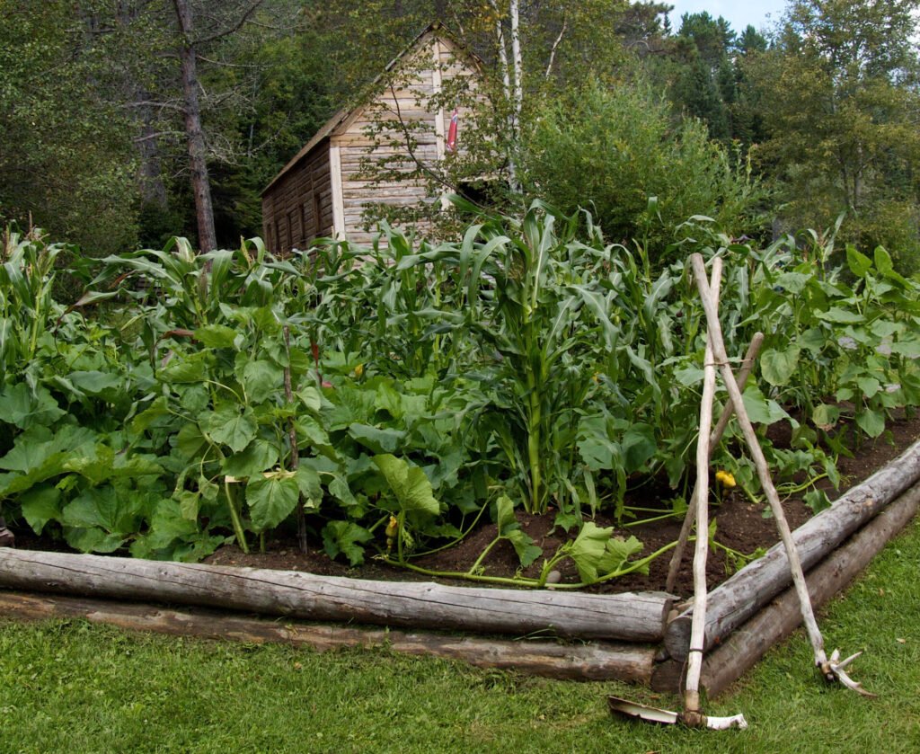 Scientific Insights: The Genius of Companion Planting