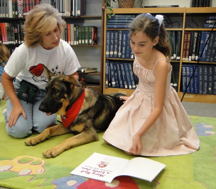 Why Dogs Developed This Superpower (image credits: wikimedia)