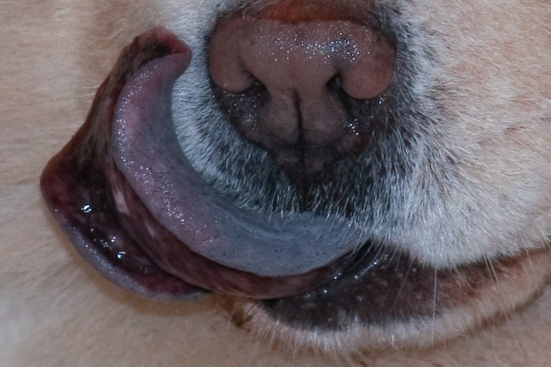 A Glimpse Into the Unseen (image credits: wikimedia)