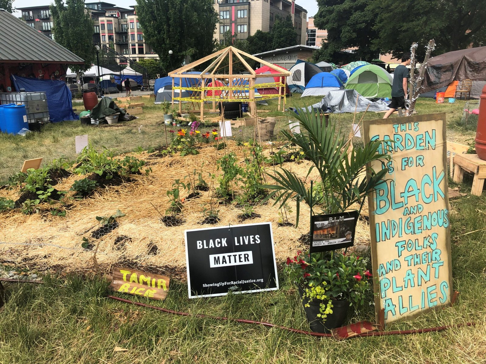 Indigenous Planting: A Blueprint for Modern Gardens (image credits: wikimedia)