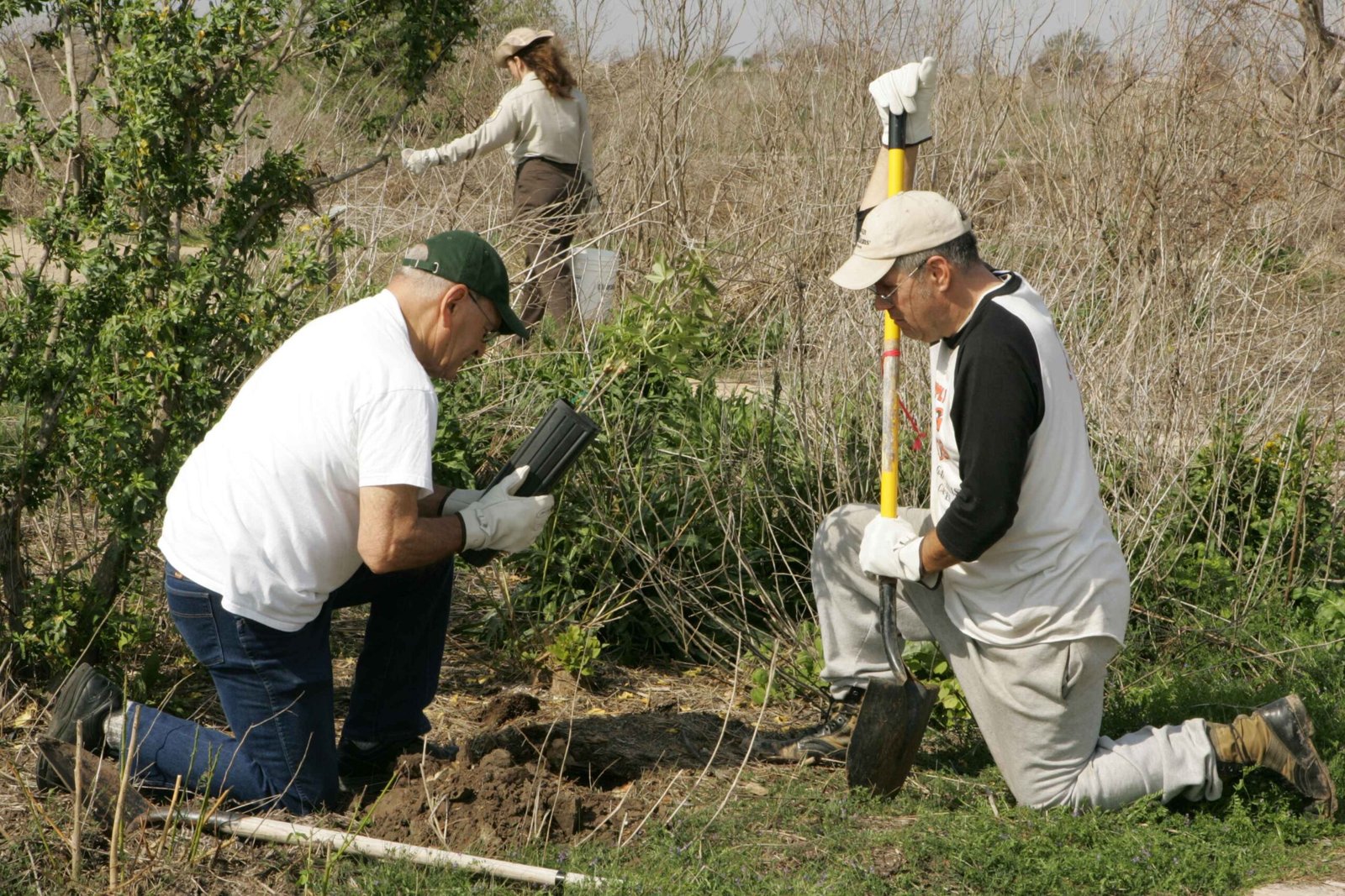 Community Involvement and Passionate Volunteers (image credits: wikimedia)