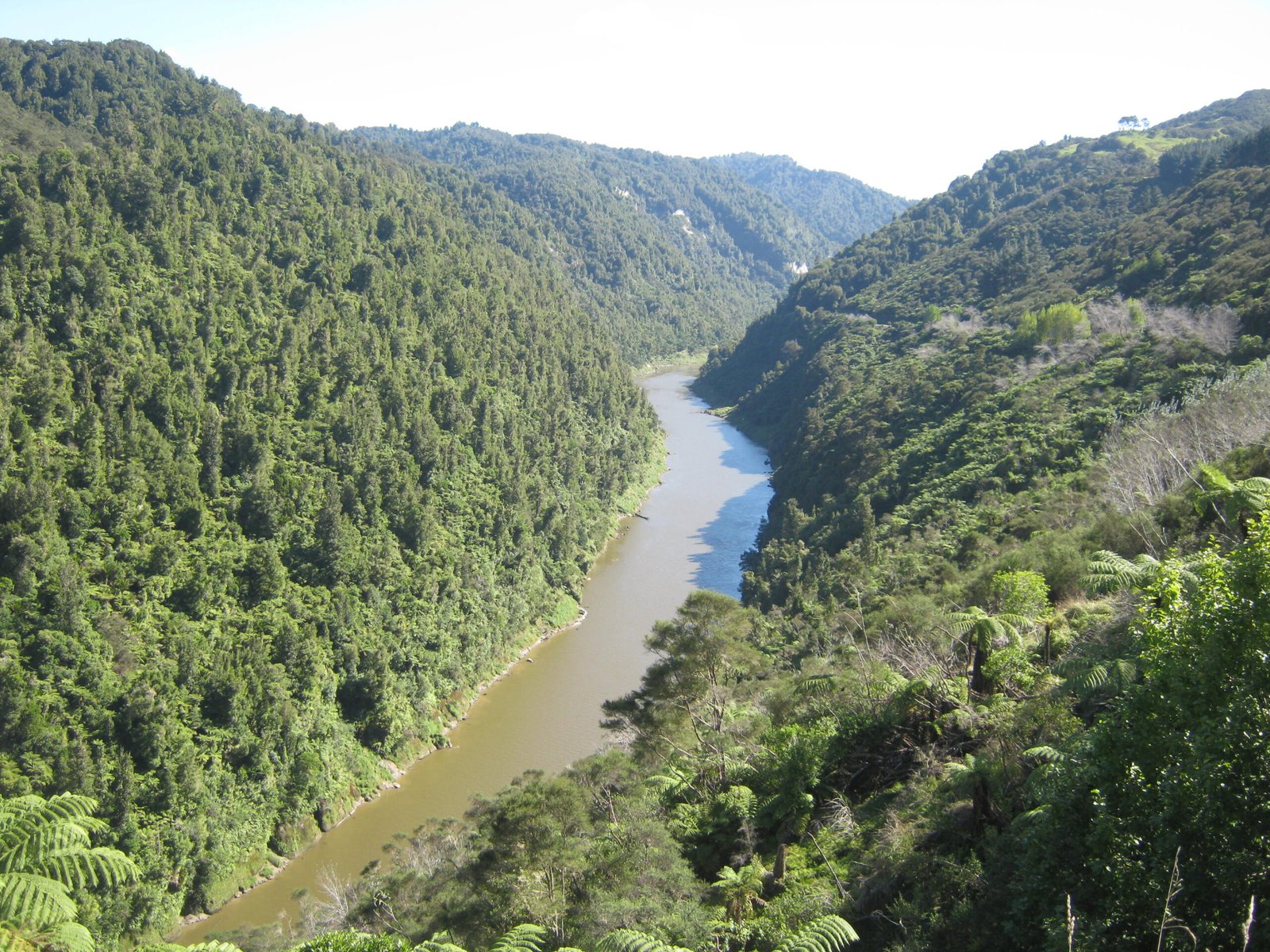 New Zealand’s Whanganui River: A Groundbreaking Case (image credits: wikimedia)
