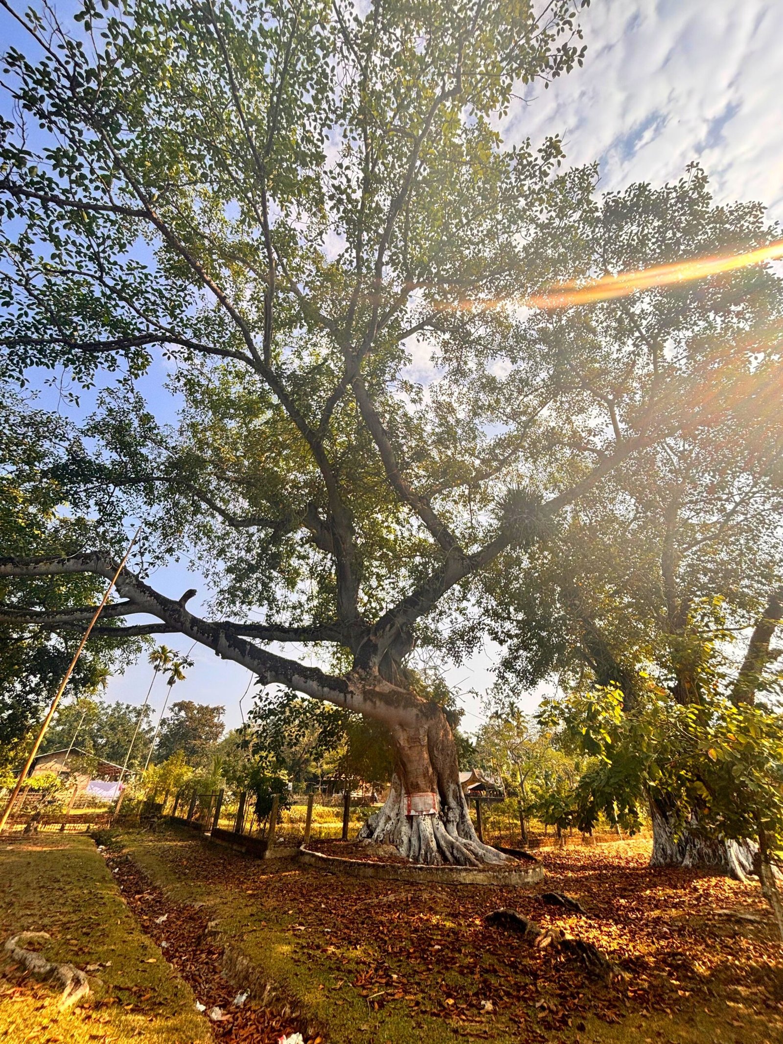 Biodiversity in Folklore Gardens (image credits: wikimedia)