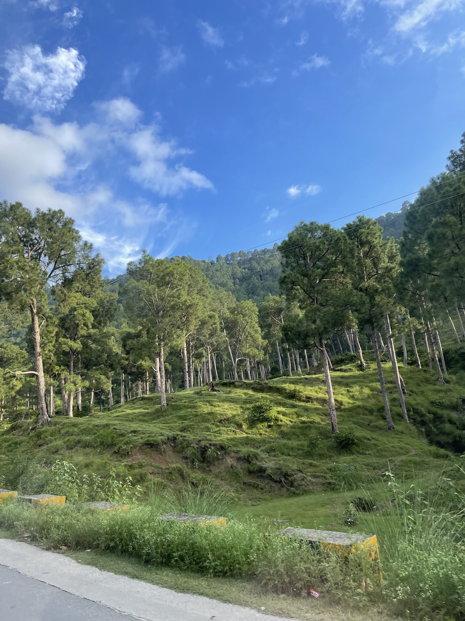 The Role of Storytelling in Conservation (image credits: wikimedia)