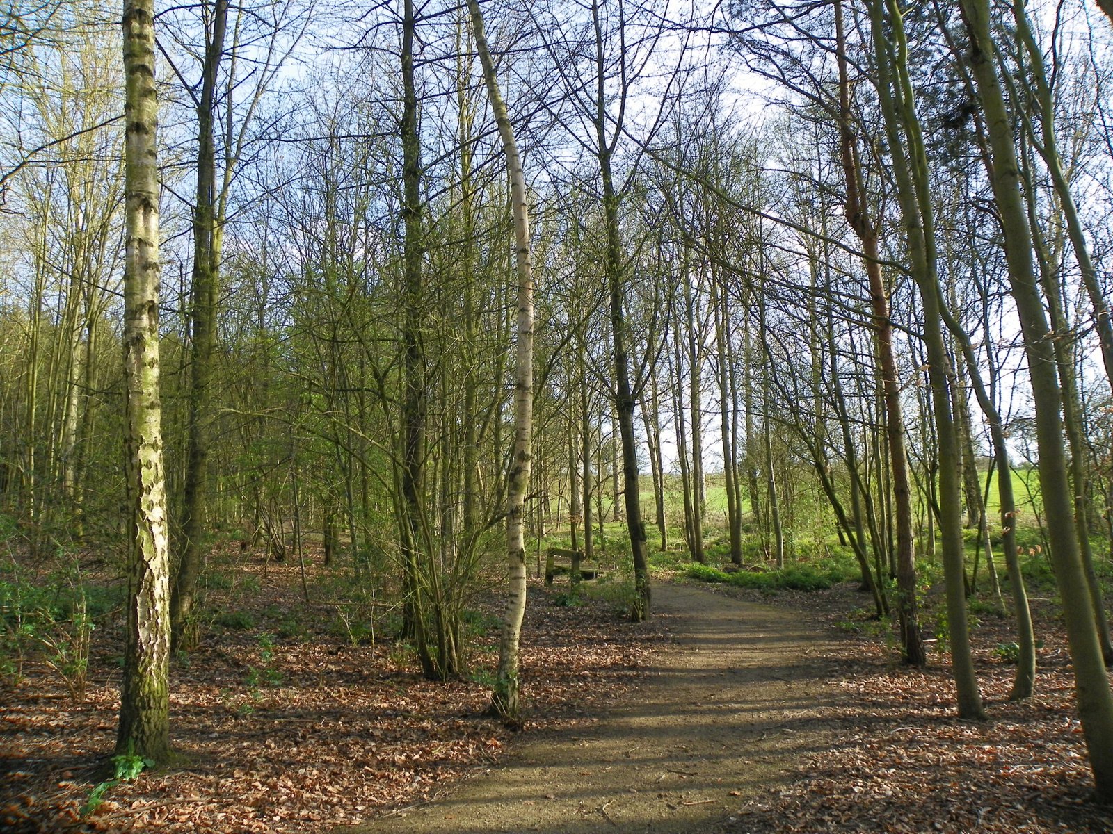 Gardening with Intention: Planting for the Future (image credits: wikimedia)