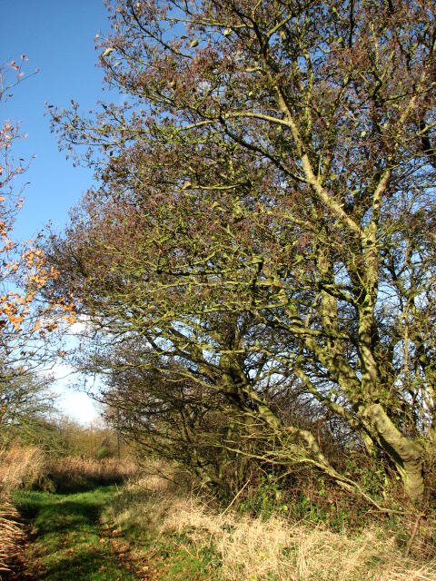 Personal Encounters and Lasting Impressions (image credits: wikimedia)