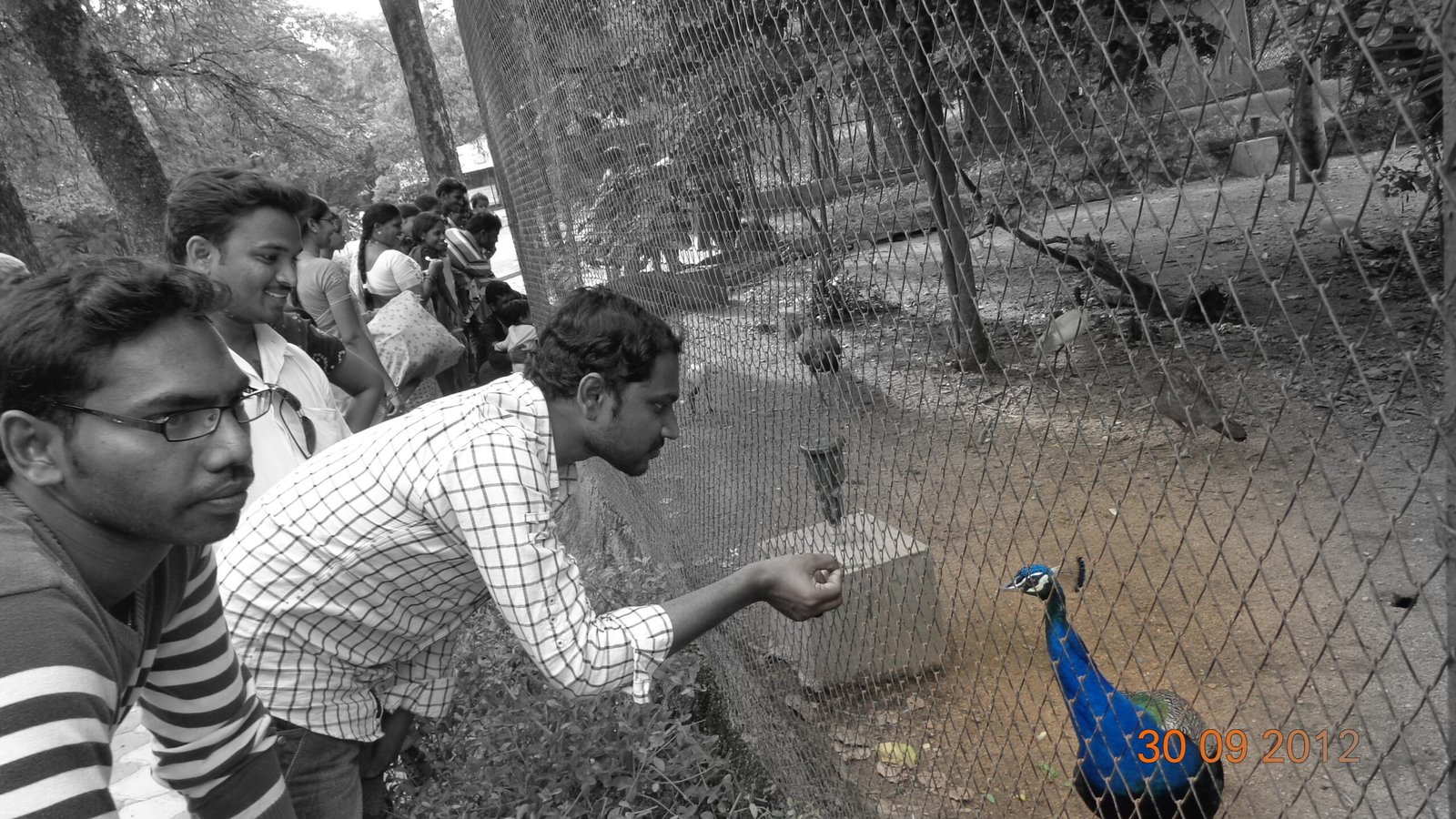 The Future of Conservation: Zoos at a Crossroads (image credits: wikimedia)