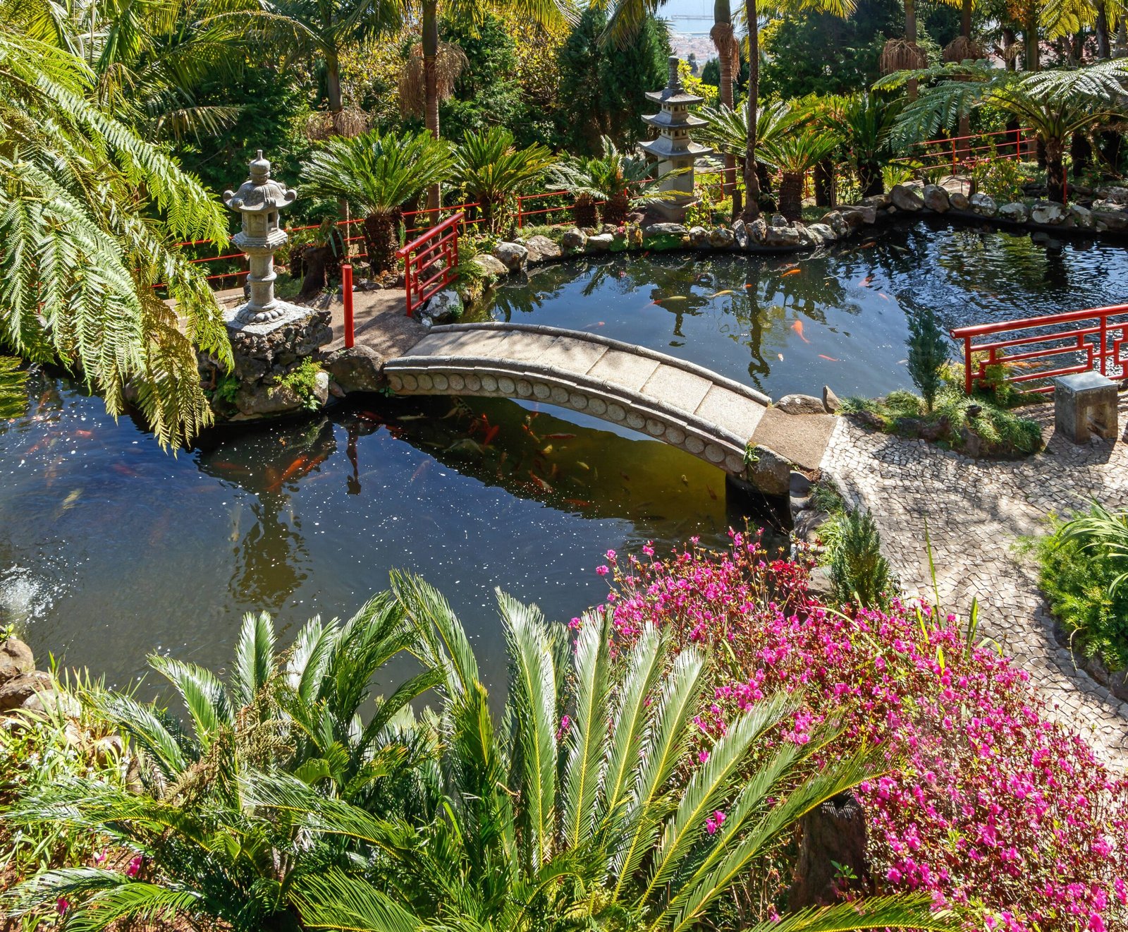 Climate-Smart Gardening: Adapting to Singapore’s Weather (image credits: wikimedia)