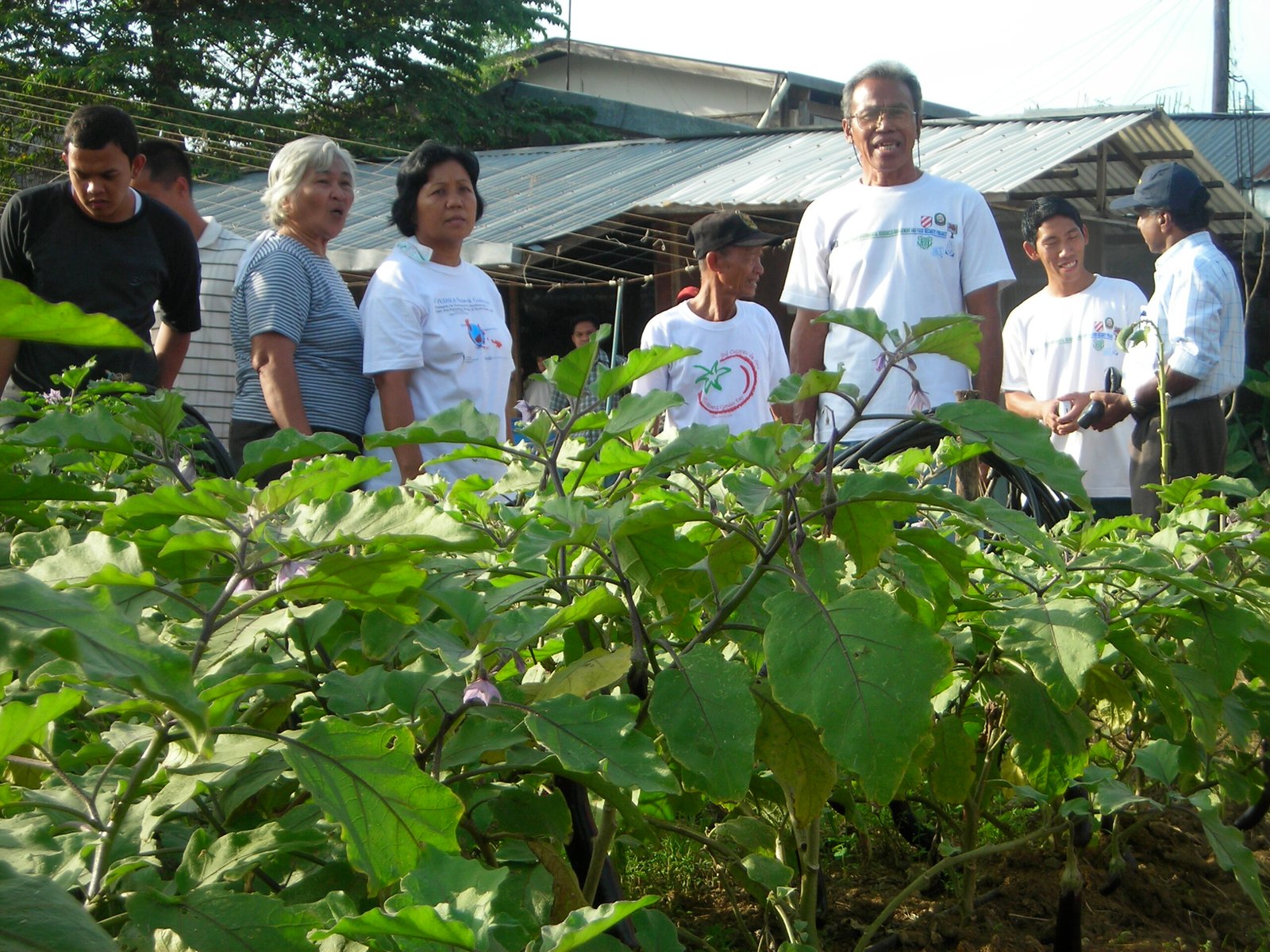 A Model for Sustainable Urban Living (image credits: wikimedia)