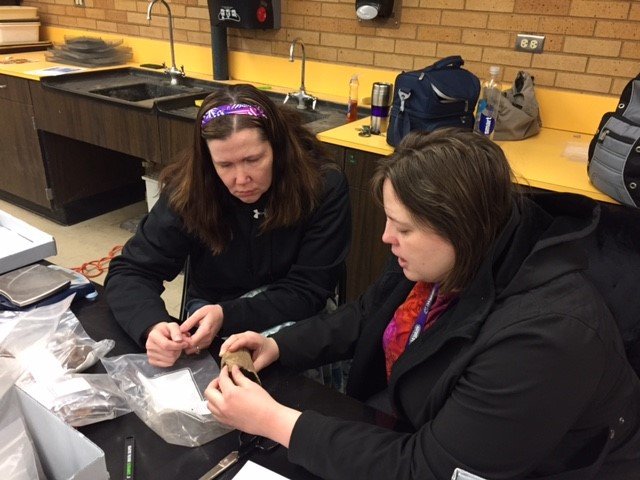 Science Steps In: Provenance Research (image credits: wikimedia)