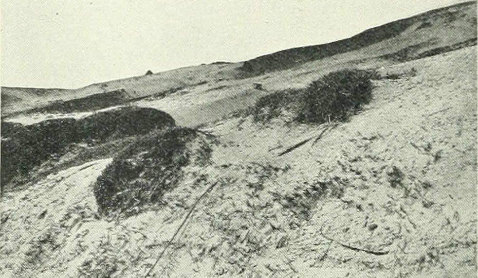 The Ongoing Mystery (image credits: wikimedia)