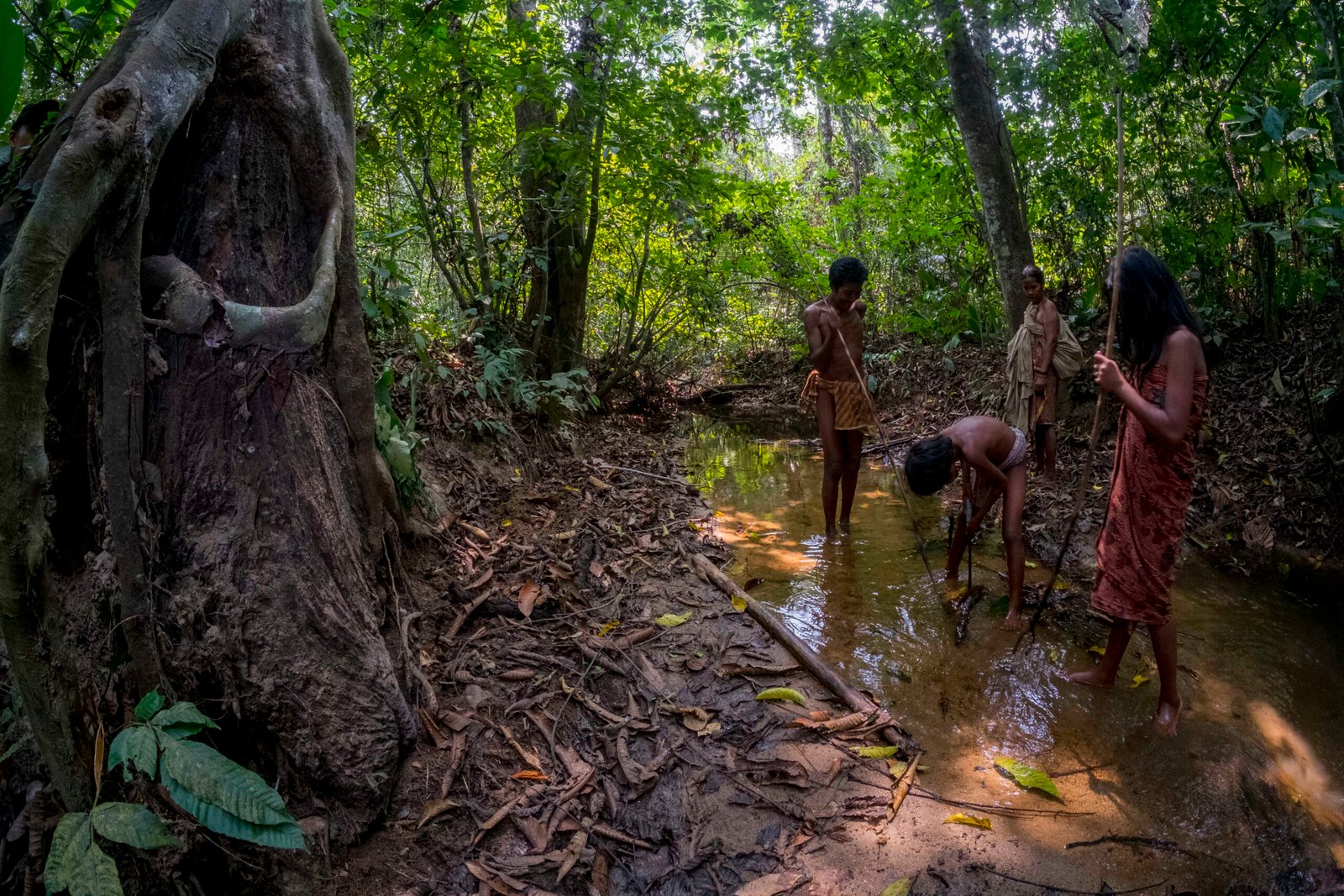 The Heartbeat of the Rainforest: Who Are the Orang Asli? (image credits: wikimedia)