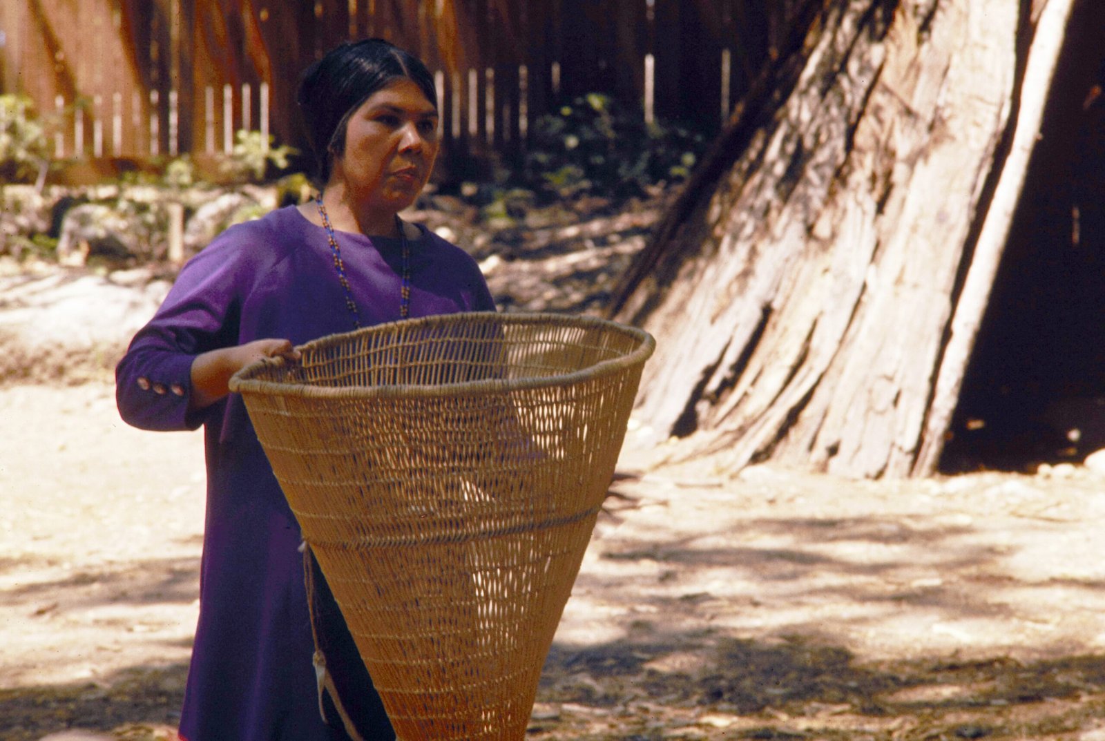 The Role of Women: Guardians of Plant Wisdom (image credits: wikimedia)
