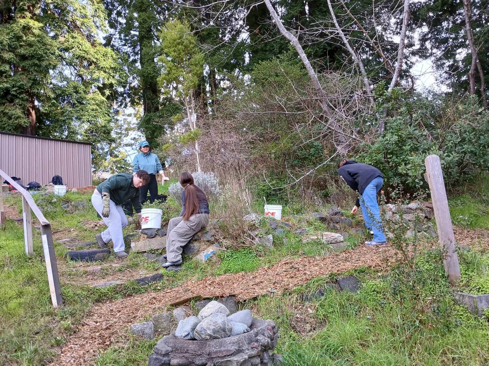 Seeds of Hope: Conservation and Community Initiatives (image credits: wikimedia)