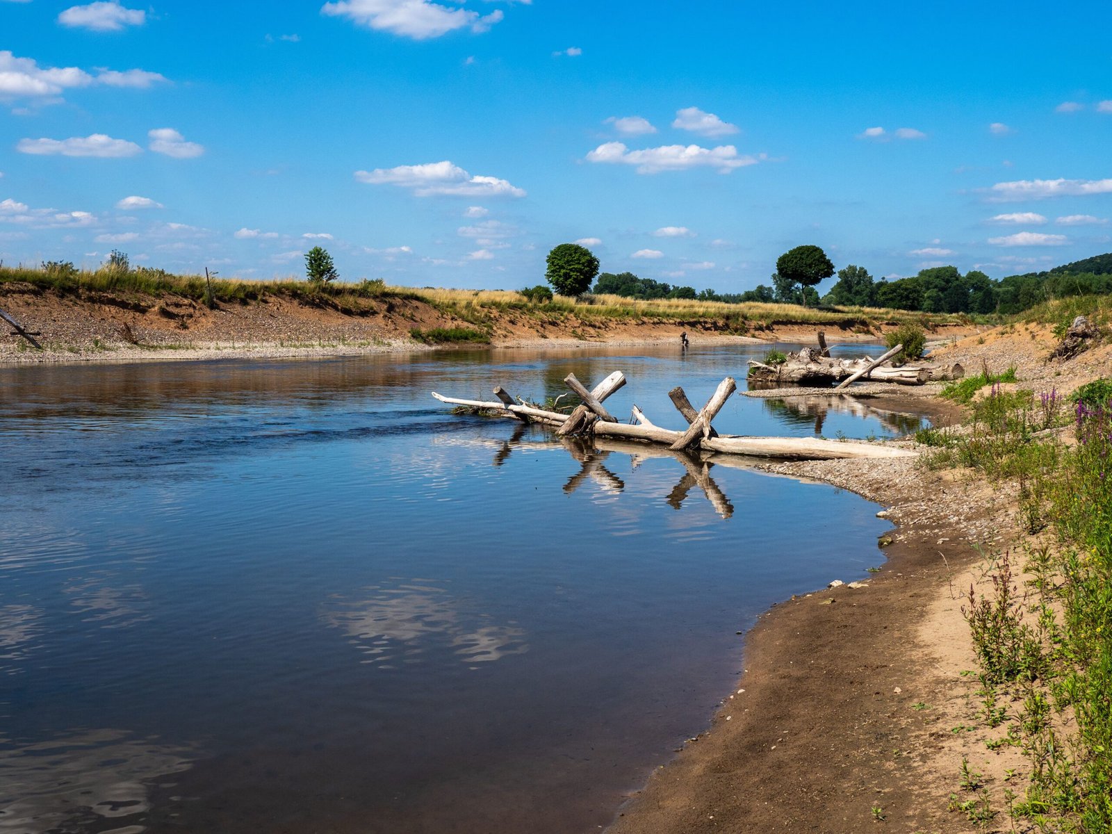 Ecological Restoration: Science Meets Tradition (image credits: wikimedia)
