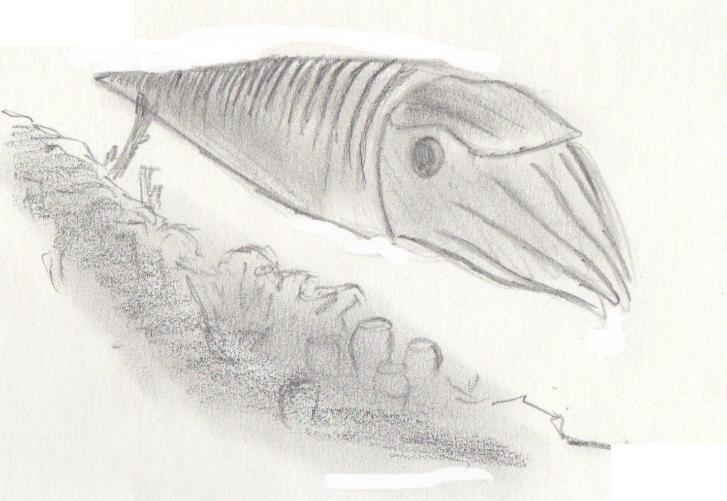 The Anatomy of a Predator (image credits: wikimedia)