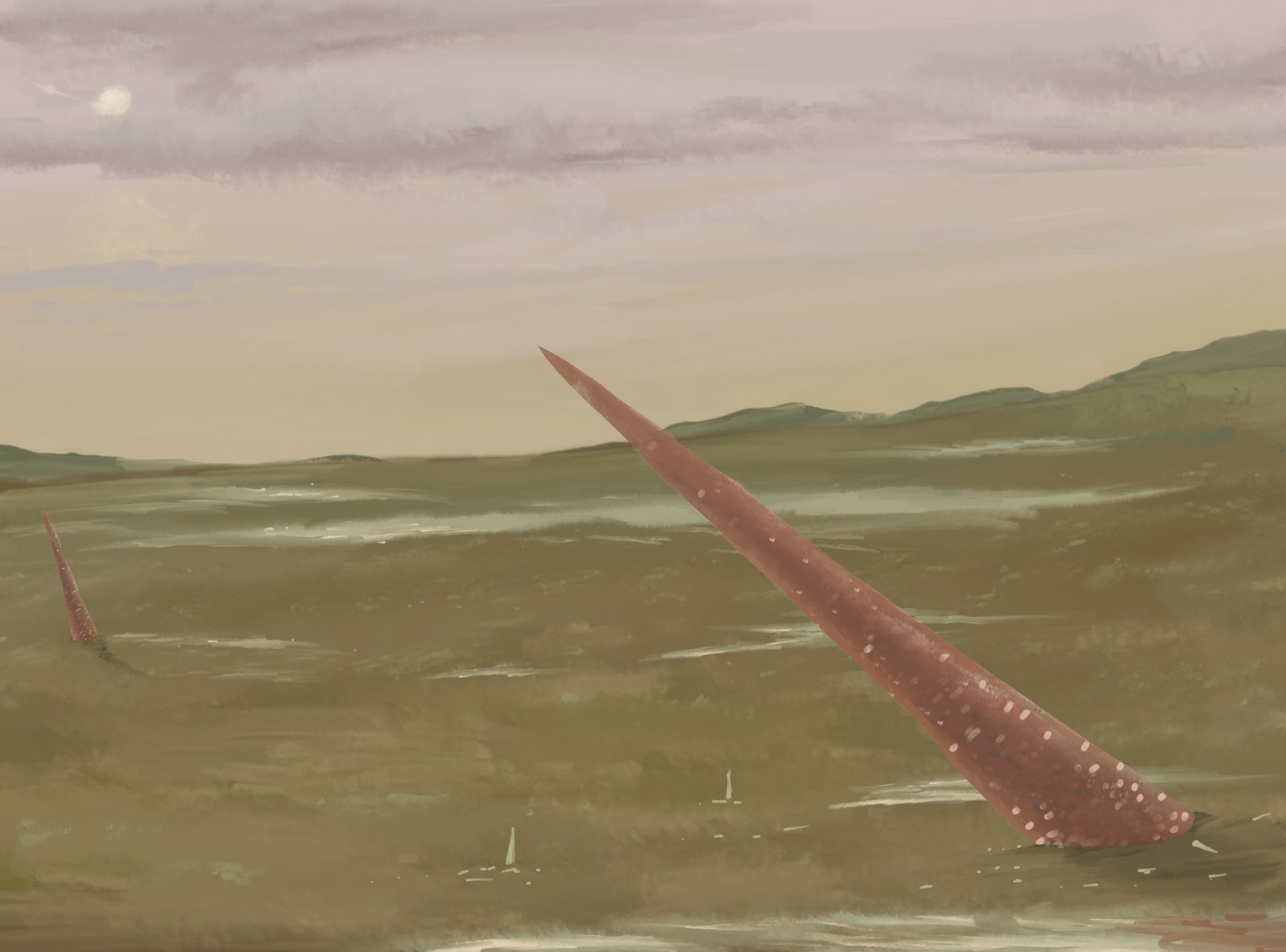 What Did Cameroceras Eat? (image credits: wikimedia)