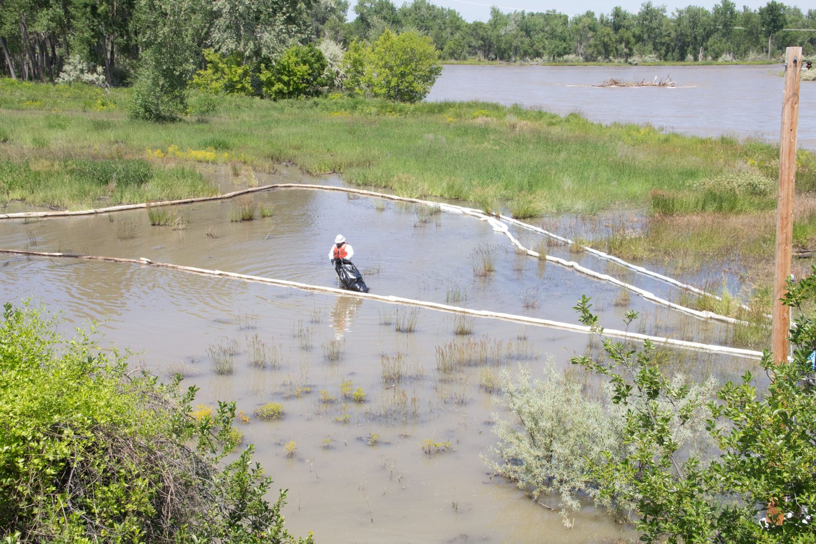 How Oil Spills Damage Soil and Ecosystems (image credits: wikimedia)