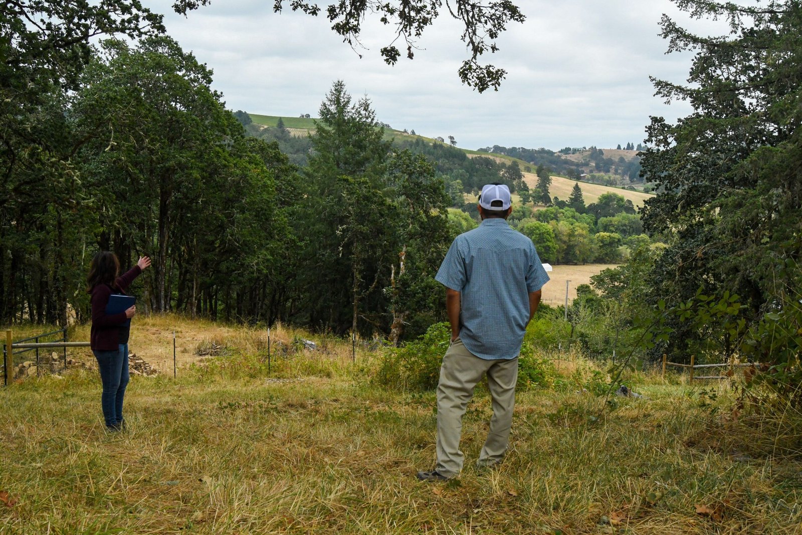The Role of Citizen Scientists and Volunteers (image credits: wikimedia)