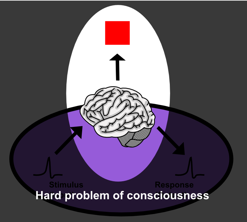 The Enigma of Consciousness (image credits: wikimedia)