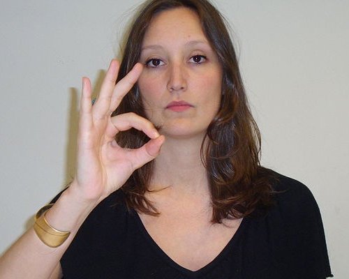 From Gestures to Language: The Birth of a New System (image credits: wikimedia)