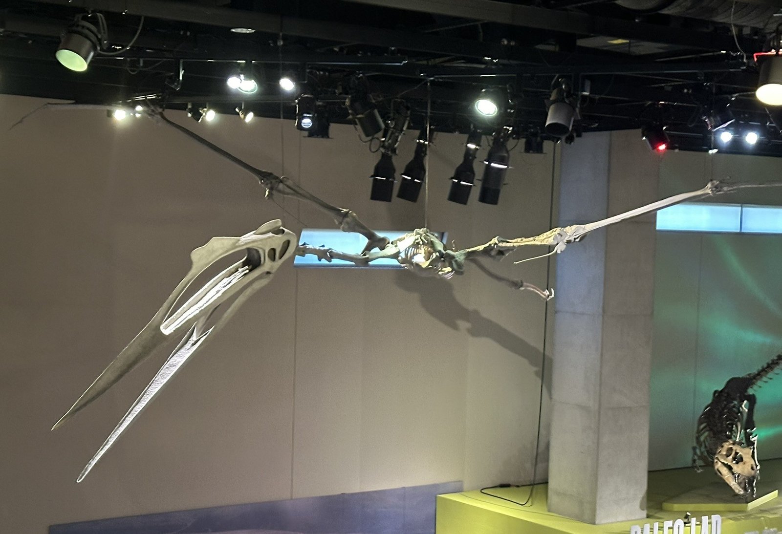 How Did It Take to the Skies? (image credits: wikimedia)