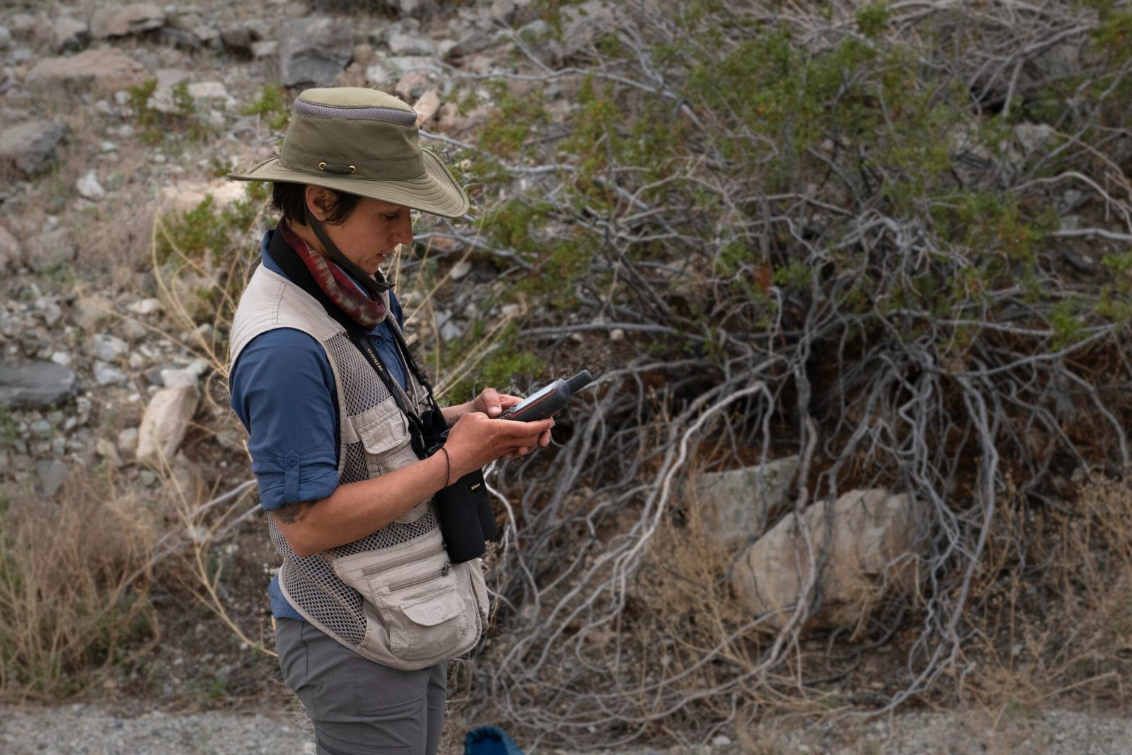 The Mystery of Its Feeding Habits (image credits: wikimedia)