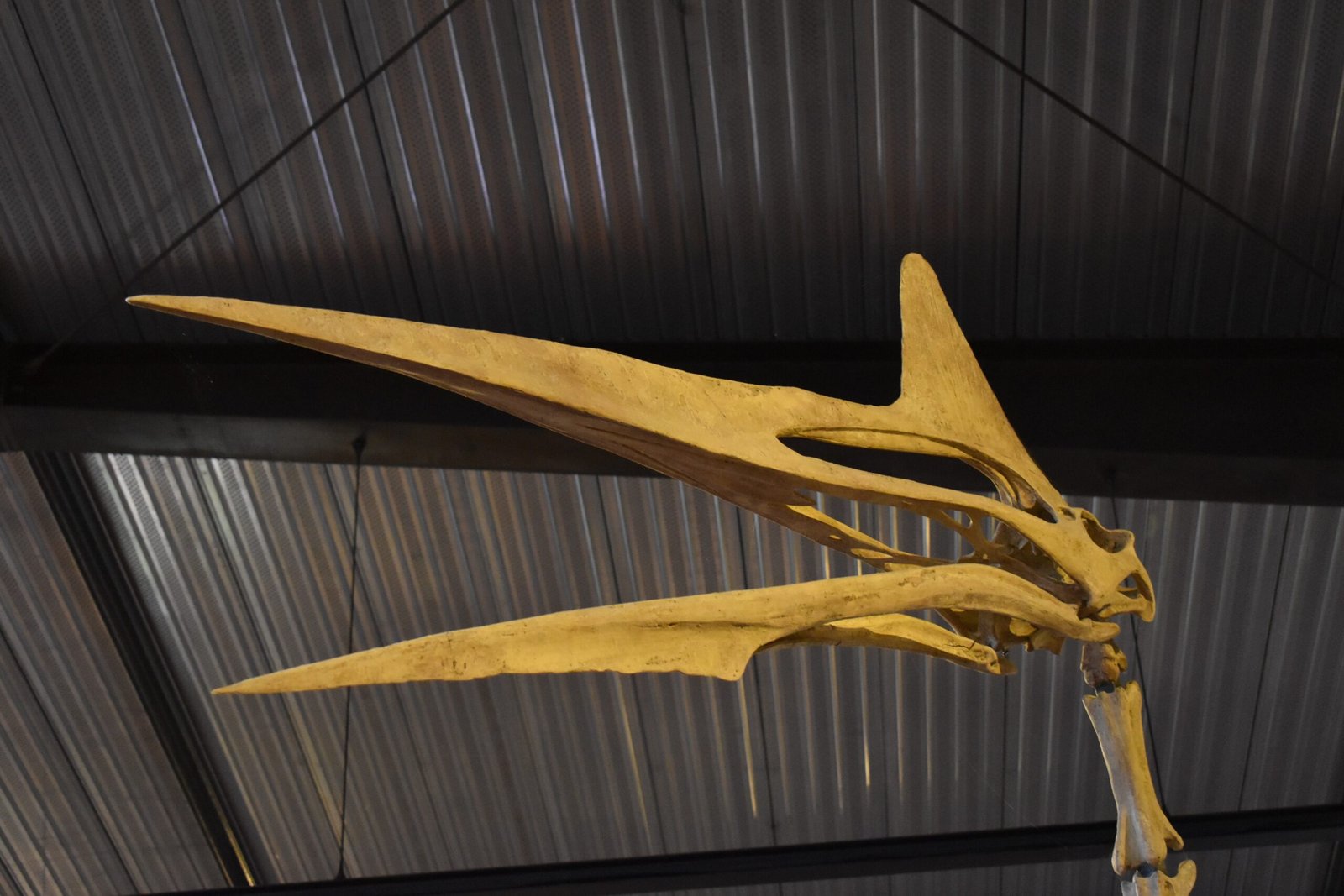 Legacy in Science and Culture (image credits: wikimedia)