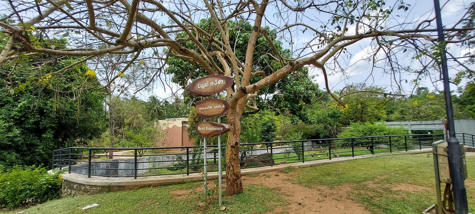 Singapore Zoo: Blurring the Line Between Zoo and Wild (image credits: wikimedia)