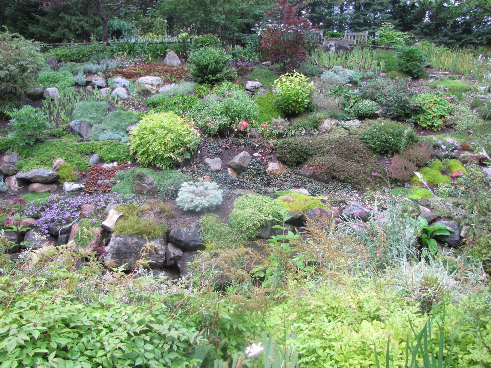 Roots of Métis Identity: Blended Origins in Soil and Spirit (image credits: wikimedia)