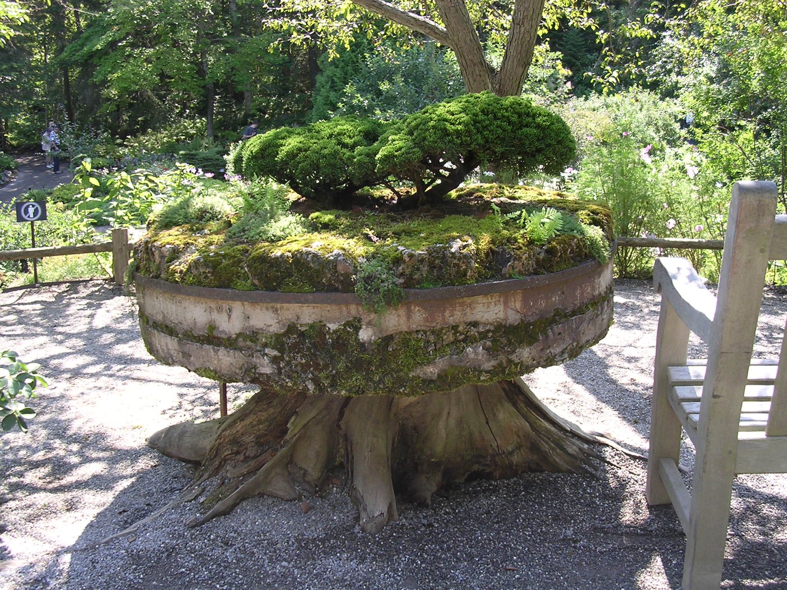 Signature Plants: The Stars of the Métis Garden (image credits: wikimedia)