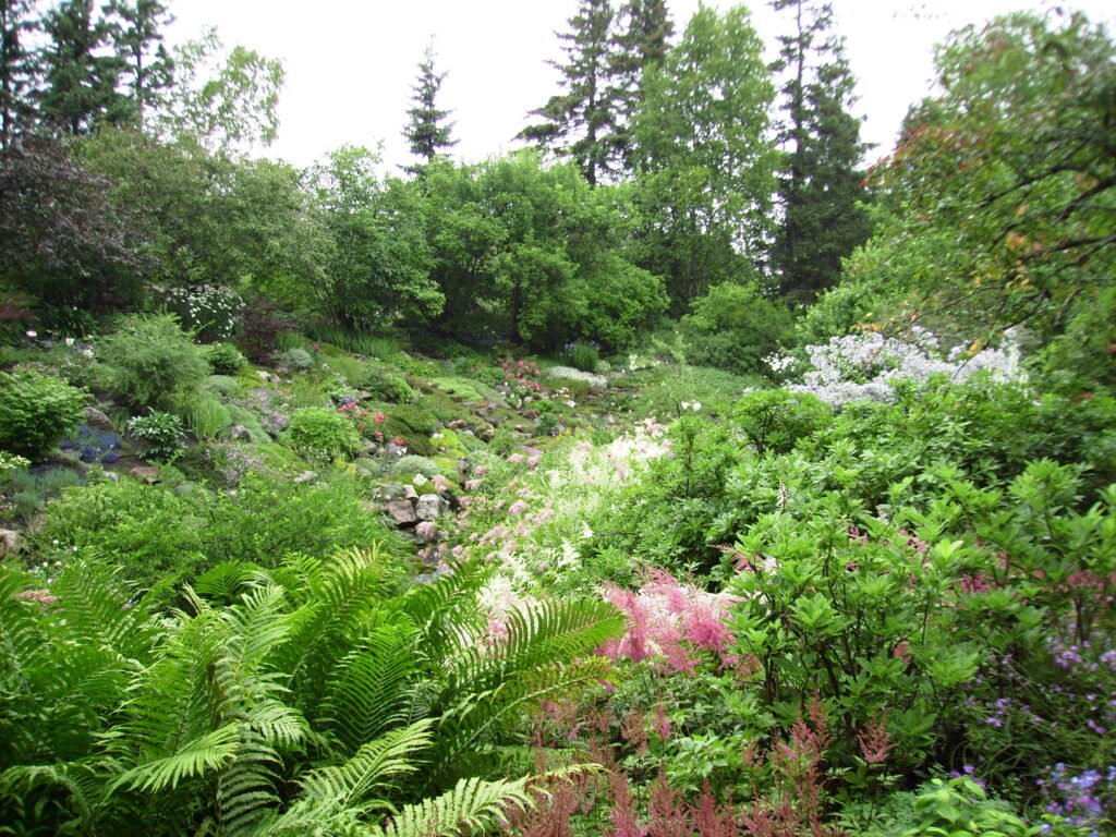 The Métis Garden: A Fusion of Tradition, Trade, and Territory