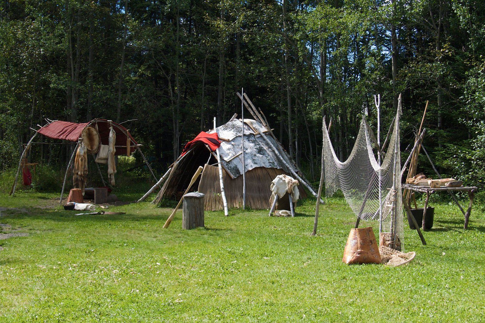 Ojibwe Stewardship: Guardians of Water and Rice (image credits: wikimedia)