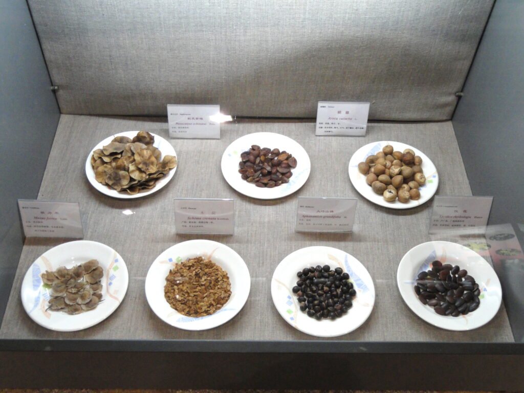 The Role of Seed Banks and Botanic Gardens