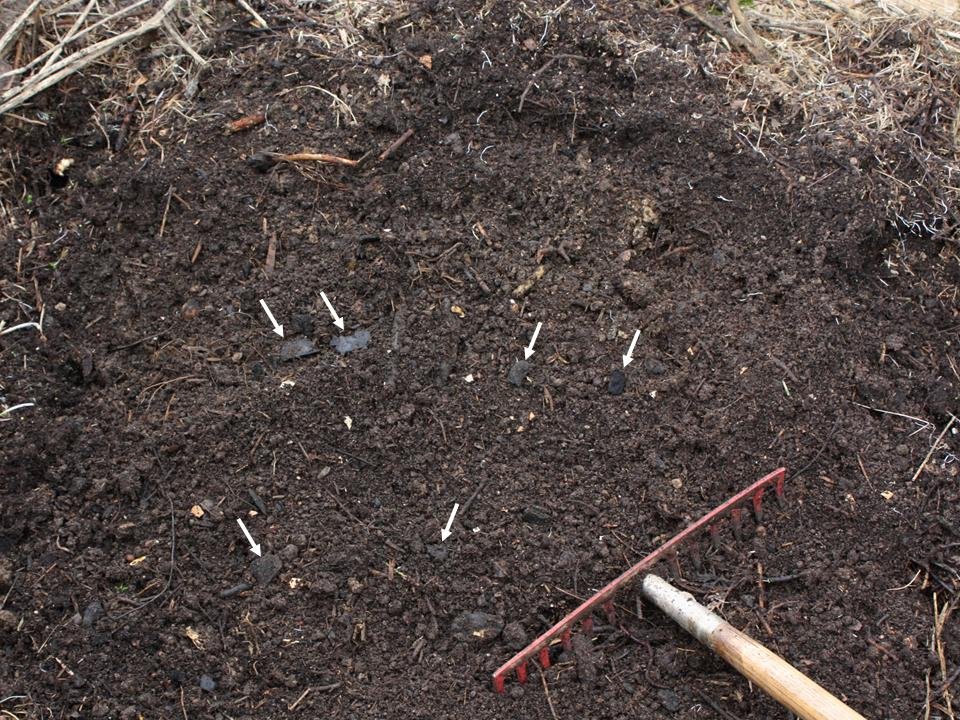 Signs Written in the Soil: Terra Preta and Human Ingenuity (image credits: wikimedia)