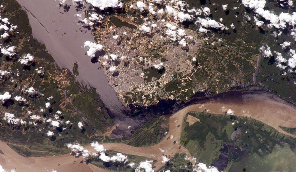 The Collapse and Disappearance of Amazonian Societies (image credits: wikimedia)