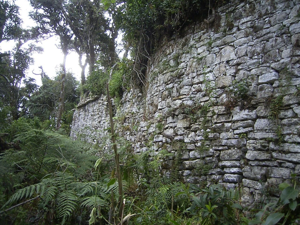 Leaving the Forest Cities Behind: What Remains? (image credits: wikimedia)